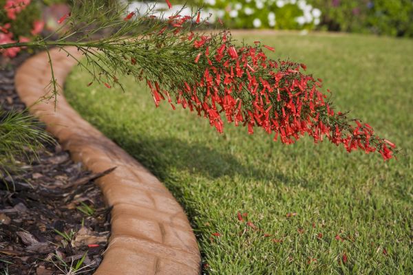 Brick Edging in Columbus
