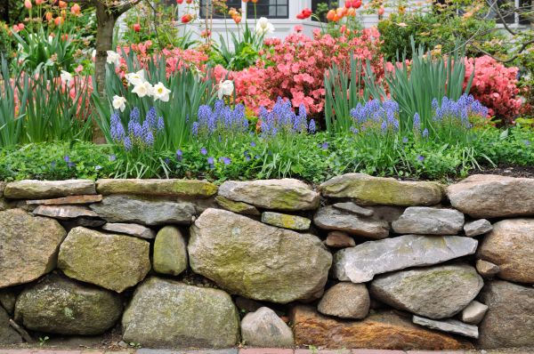 Stone Wall Hardscaping in Columbus